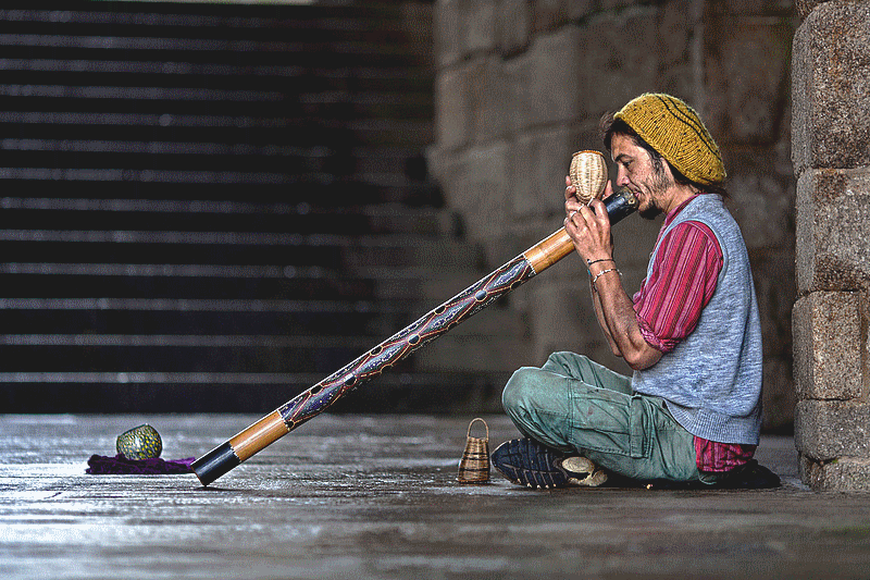 bambusa_bambou_bamboo_didgeridoo_australia